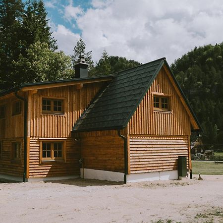 Naturparkresort S'Keuscherl Wildalpen Eksteriør billede